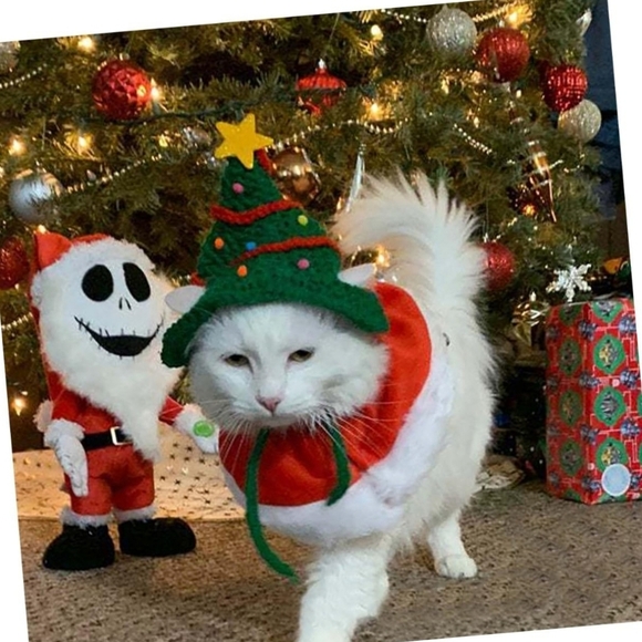 Hand Crafted crochet hat Christmas tree pet hat green & multicolored pump pumps - Picture 6 of 14